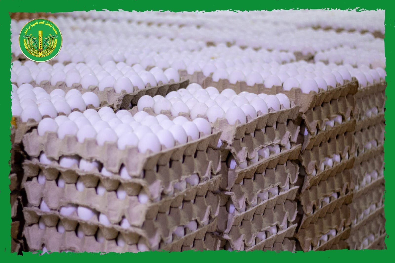 الانتهاء من توزيع المساعدات المالية والعينية الشهرية